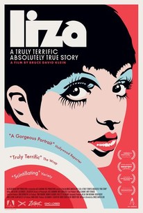 Liza: A Truly Terrific Absolutely True Story torrent